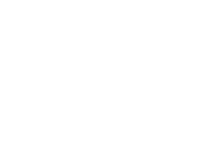 airzamer.ru
